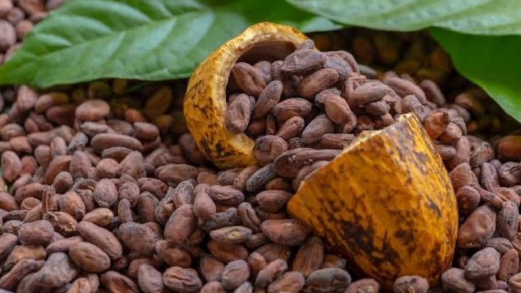 Risaralda adelanta reuniones con un grupo de inversionistas italianos para lograr la venta de una manera directa de productos como café, cacao y panela